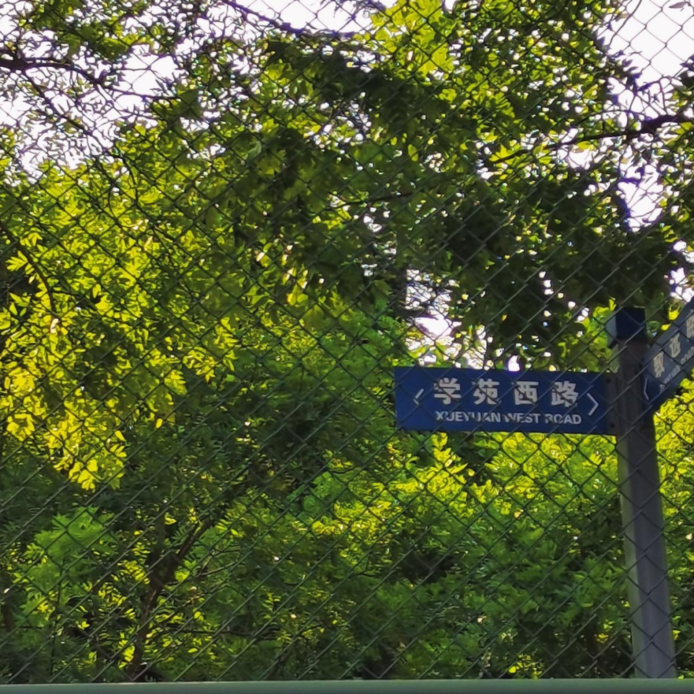 十大在线德州扑克平台排名