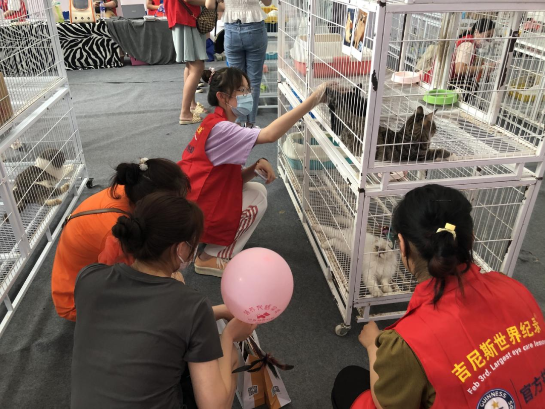 十大在线德州扑克平台排名