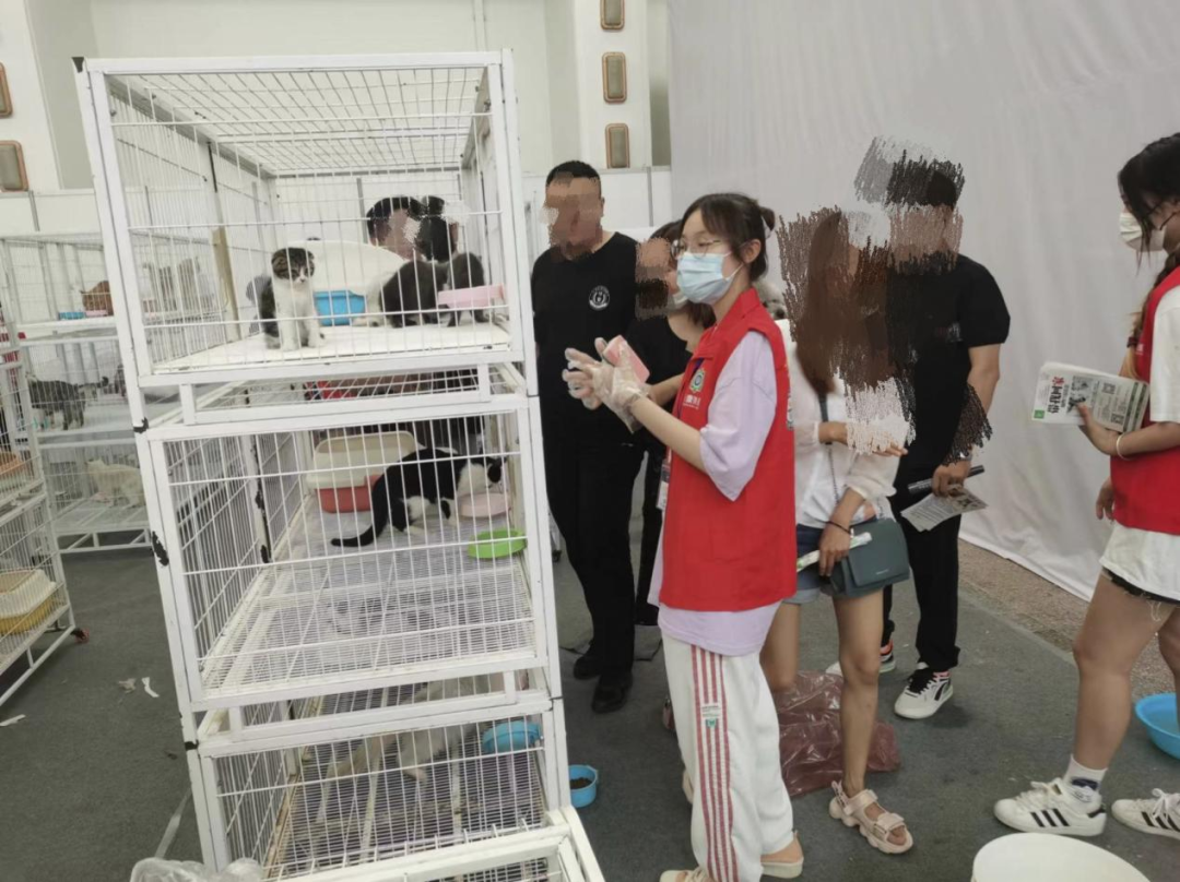 十大在线德州扑克平台排名