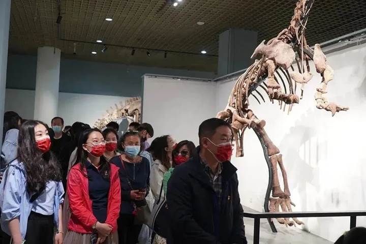 十大在线德州扑克平台排名