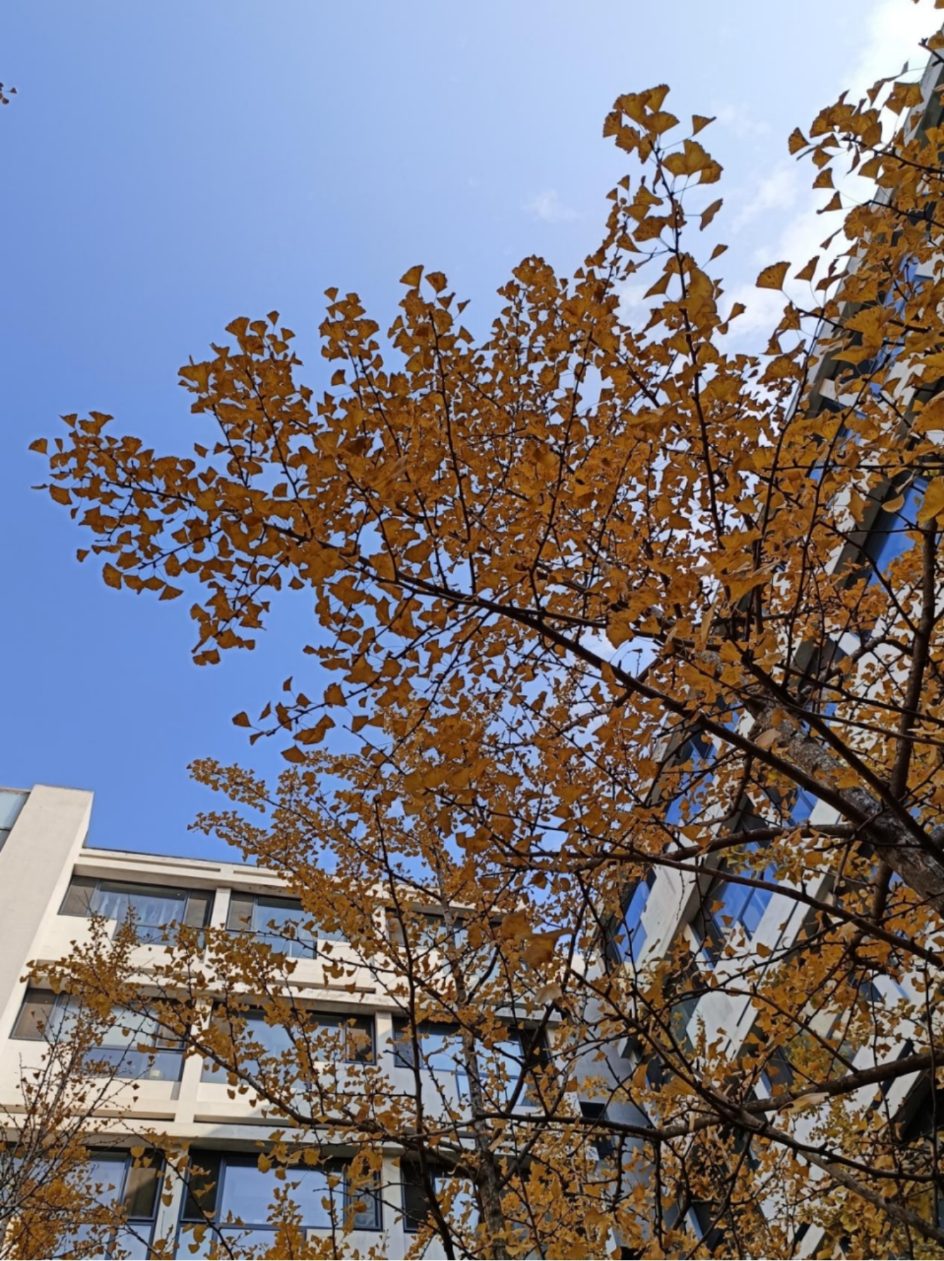 十大在线德州扑克平台排名